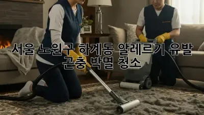 서울 노원구 하계동 알레르기 유발 곤충 박멸 청소