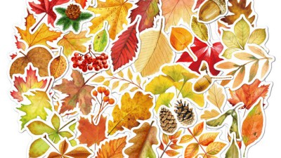가을 감성 가득! 🍂🍁 할인 중인 예쁜 가을스티커 추천